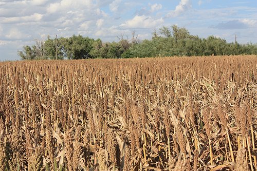 Property photo 93 - LAND AUCTION, 3255+/- Acres offered in 13 Tracts